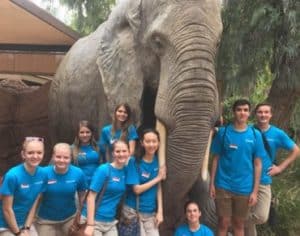 toodlers zoo