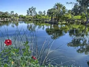 Lake
