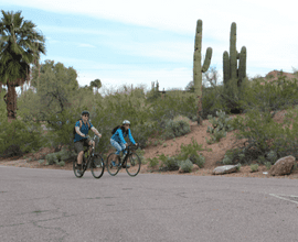 Cycling