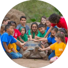 Zoo Camp