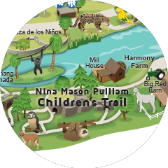 children strail