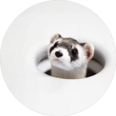nscbffcircle