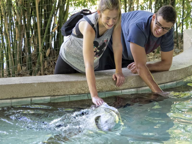 tours at national zoo