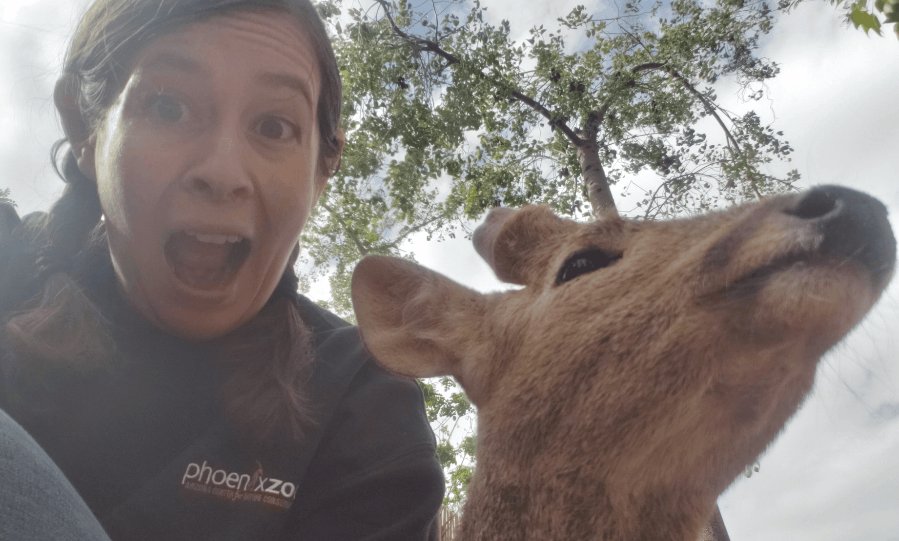 Playing with giraffe