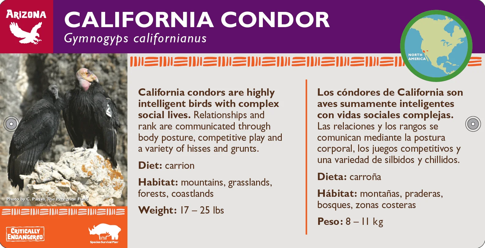 condor label