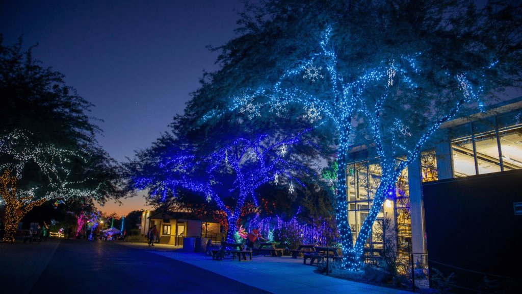 Zoo Lights Ticket Prices Phoenix techancedesign