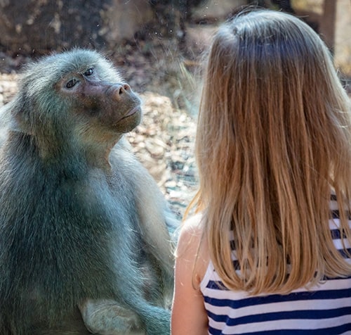 Girl with Monkey