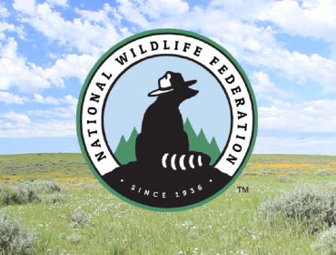 Park Logo