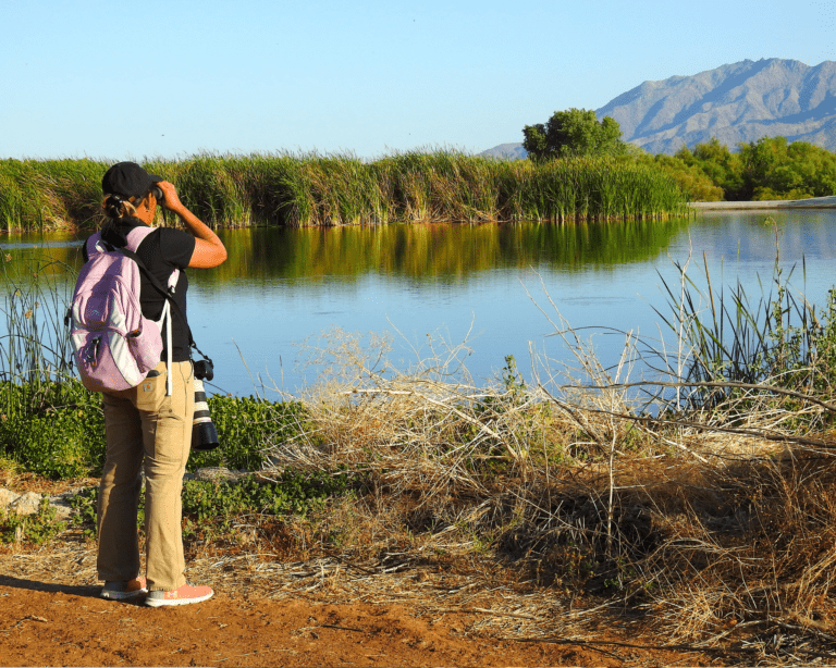 Women Watching Birds