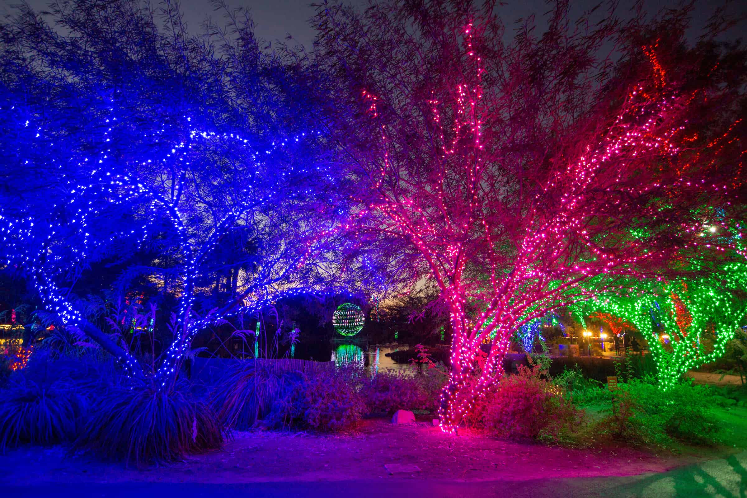 Sensory Friendly ZooLights Phoenix Zoo