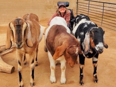 Goats