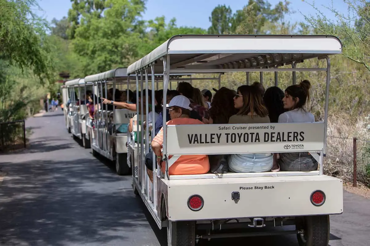 Valley Toyota Cruiser