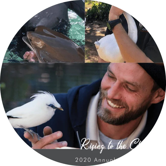 About Us Phoenix Zoo