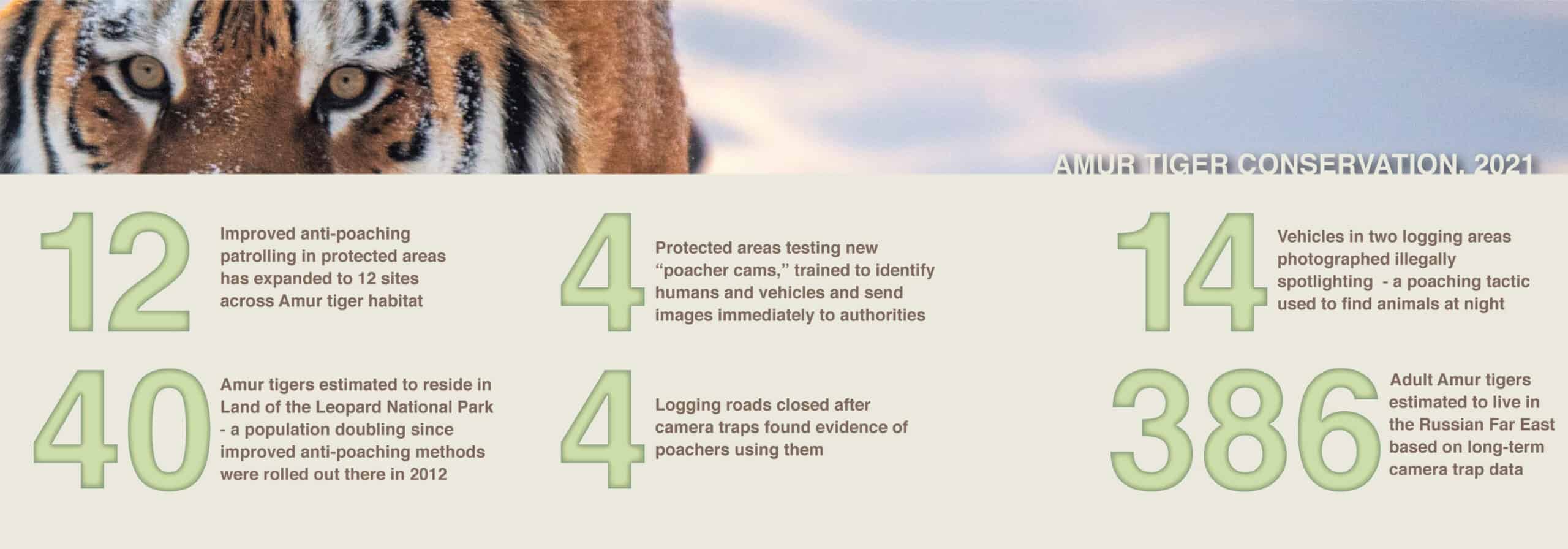 Tiger Conservation Annual Report 2021