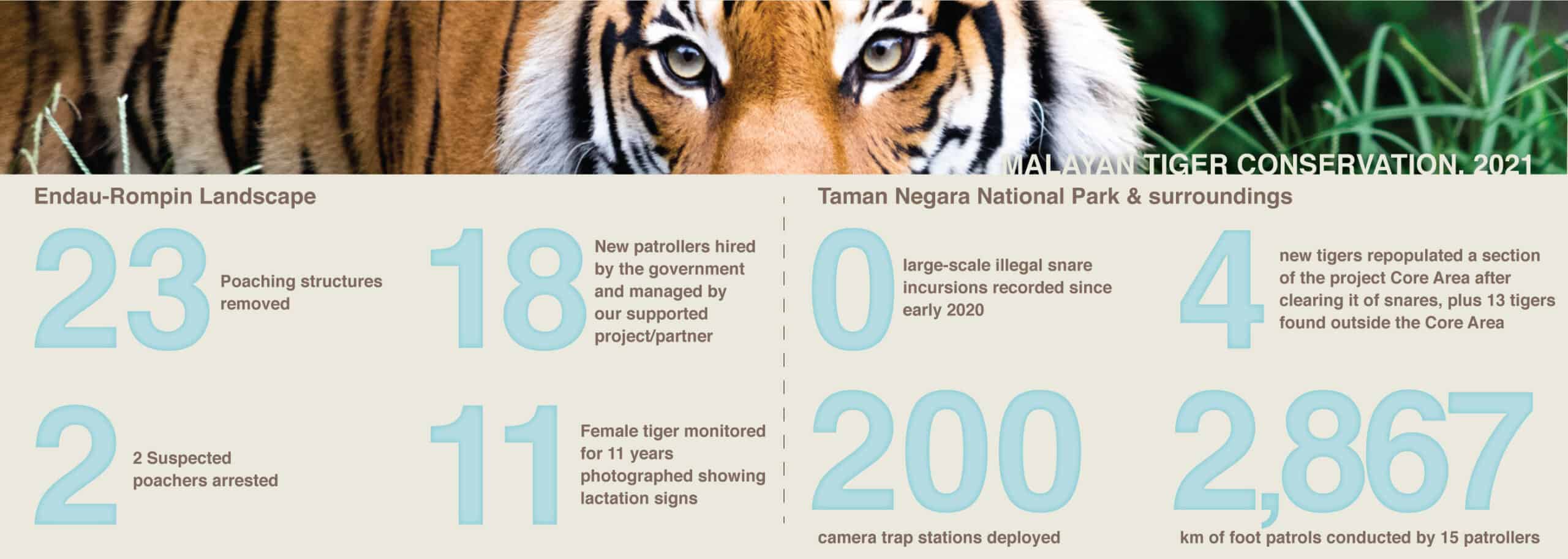 Tiger Conservation Annual Report 2021