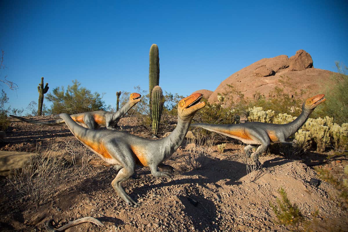 Dinosaurs in the Desert Phoenix Zoo