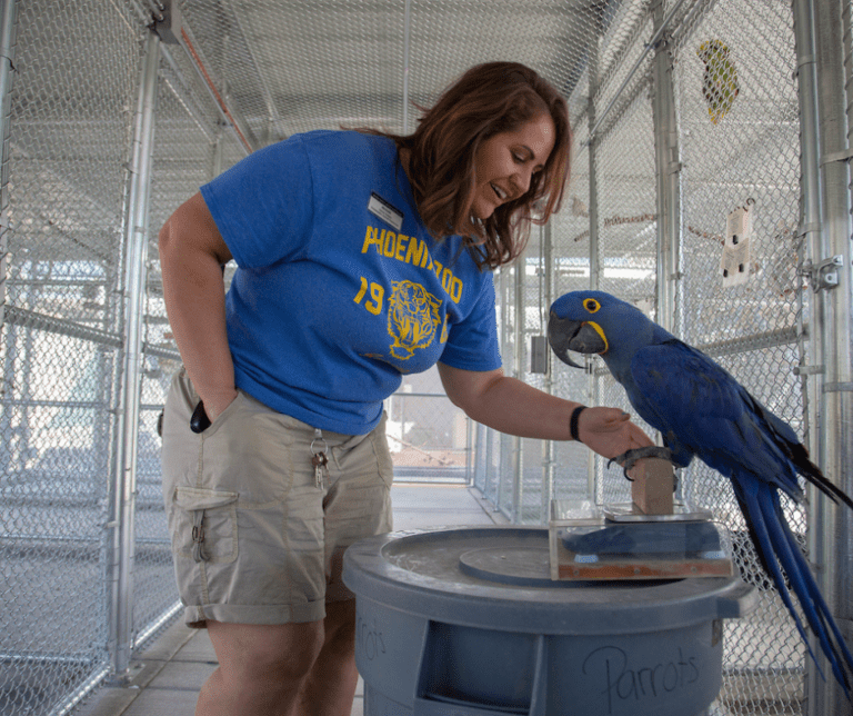 Women with Bird