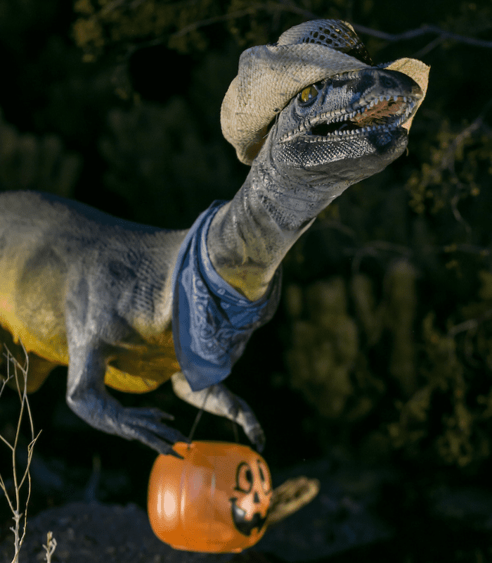 Dino trick or treat