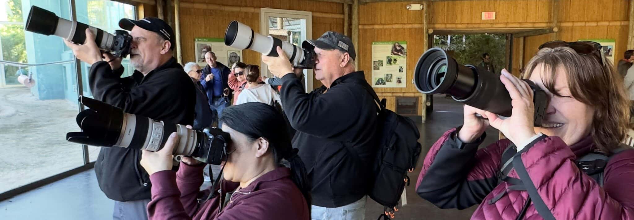 Animals in Focus Photography Classes Phoenix Zoo