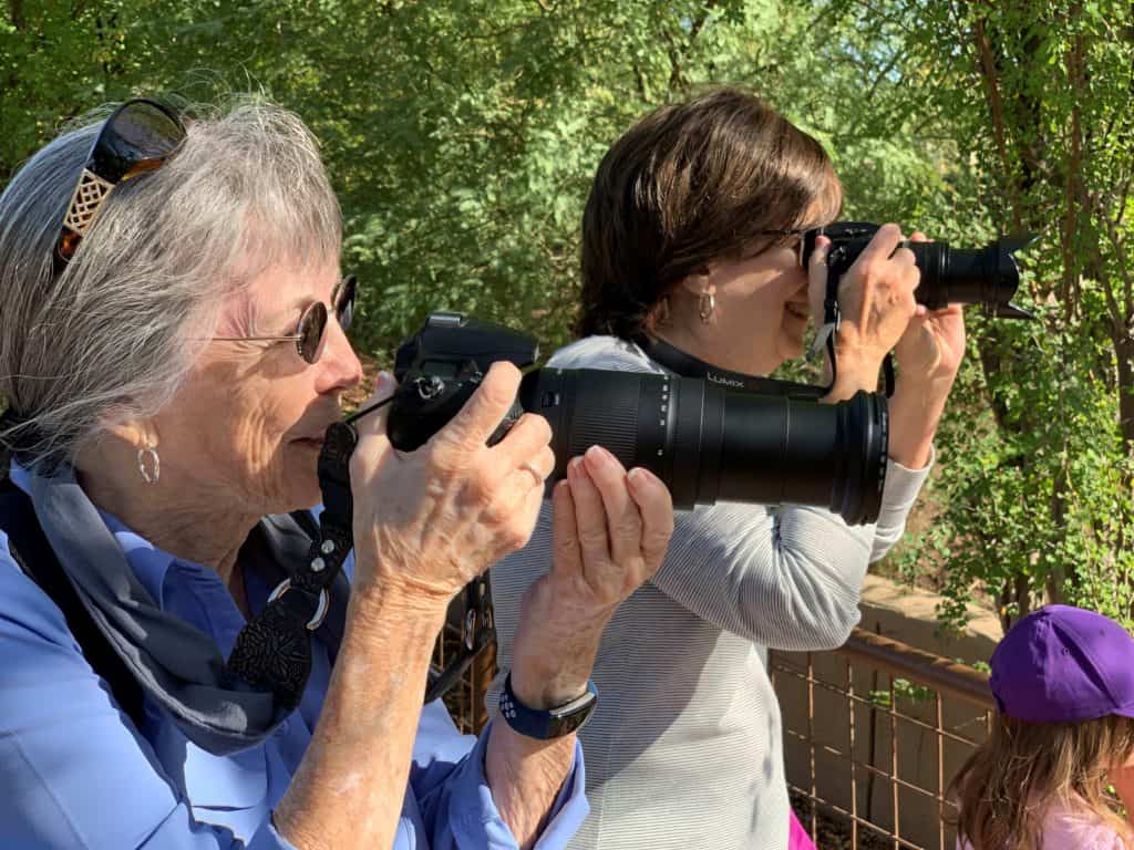 Animals in Focus Photography Classes Phoenix Zoo