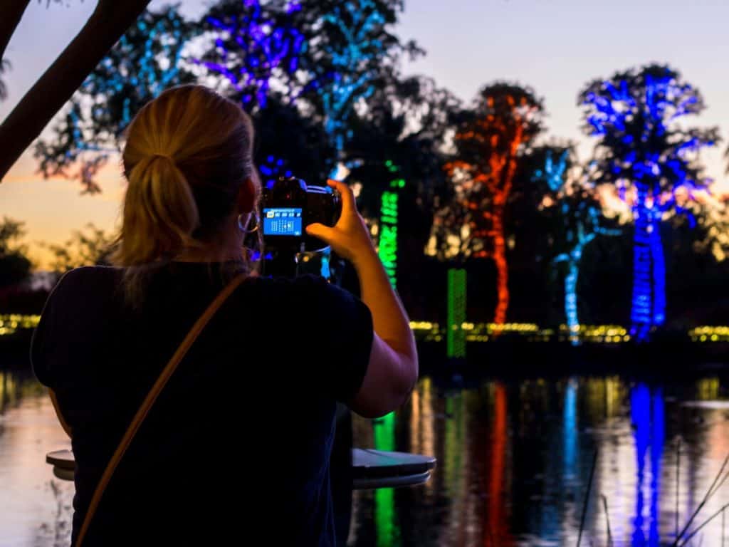 Animals in Focus Photography Classes Phoenix Zoo