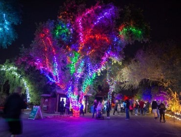 Afgift Modig slå op ZooLights - Phoenix Zoo