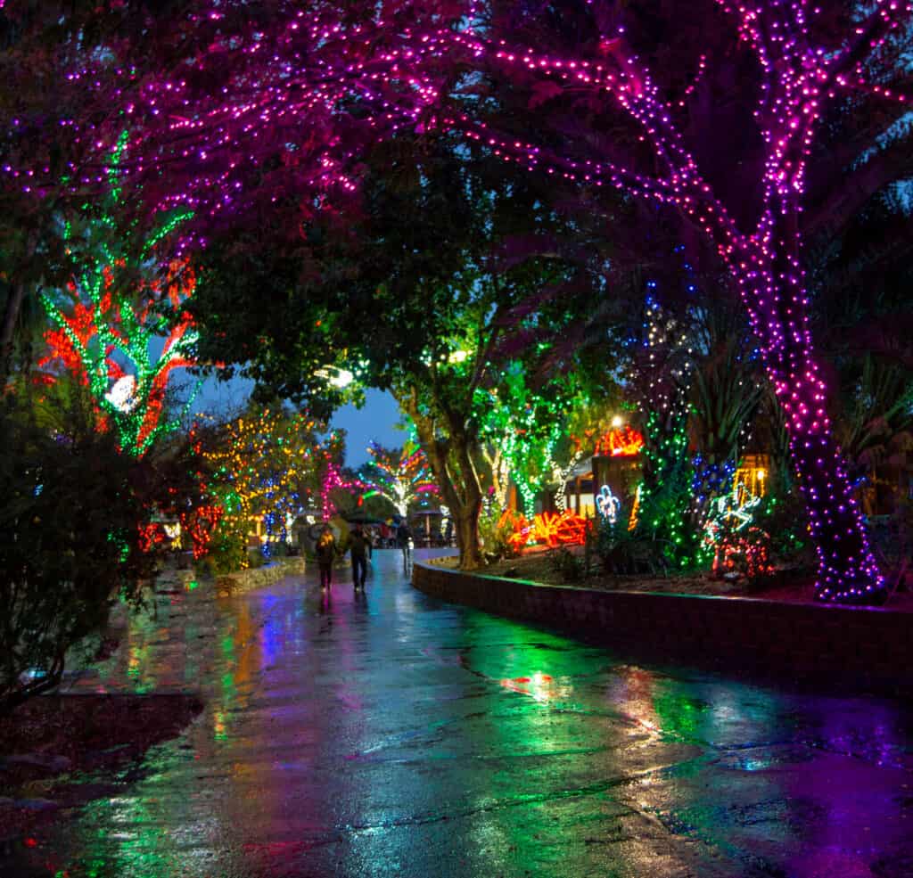 ZooLights Phoenix Zoo