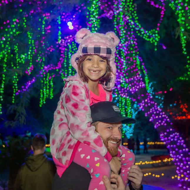 Holiday Gift Guide Phoenix Zoo