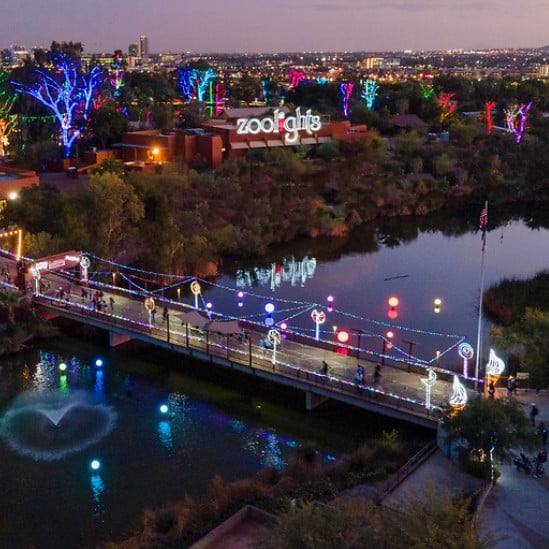 Sensory Friendly Zoolights