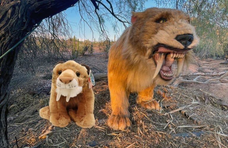 SmiloDon