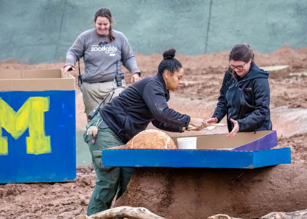 education jobs at the zoo