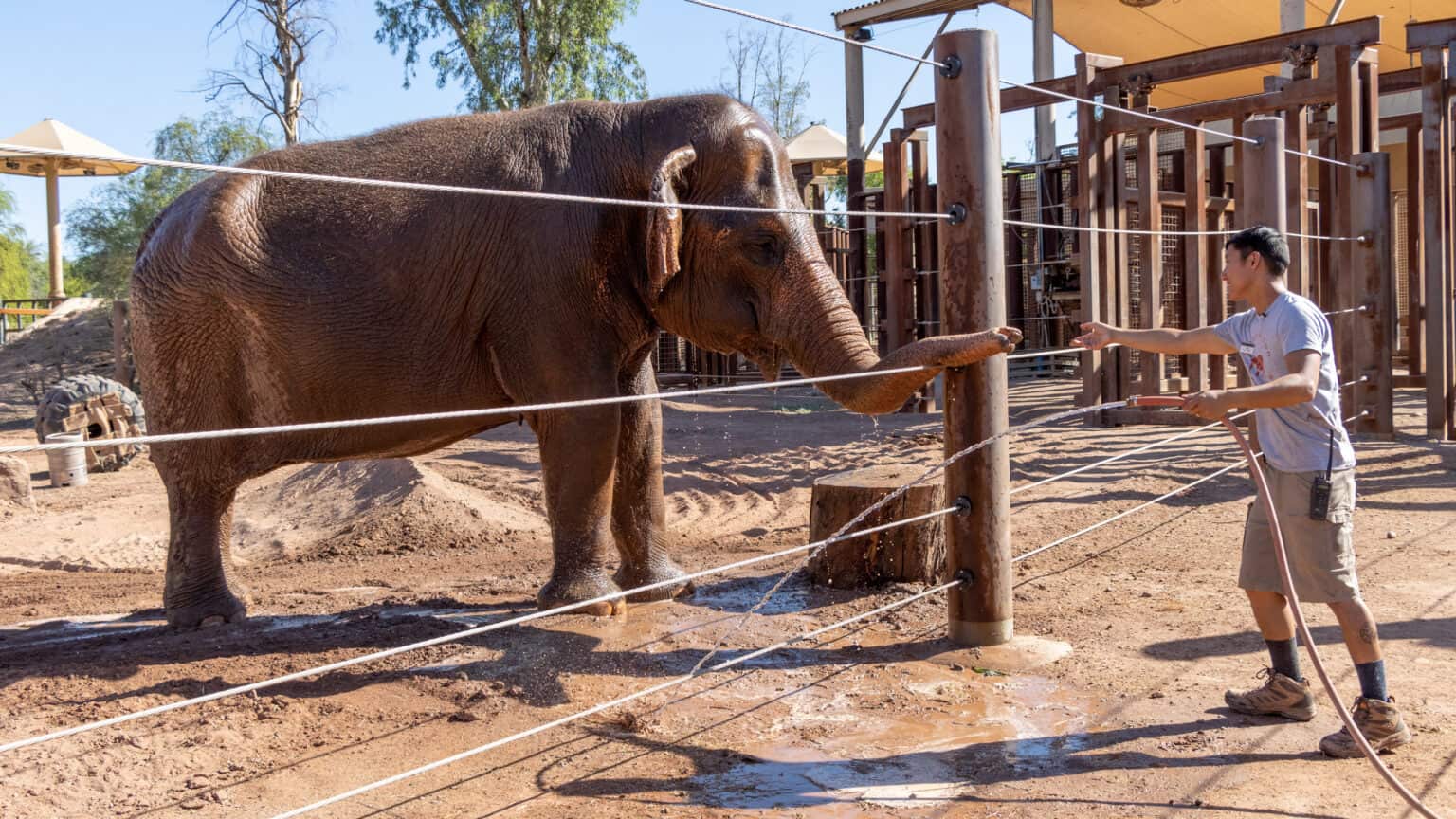 Job Openings | Phoenix Zoo