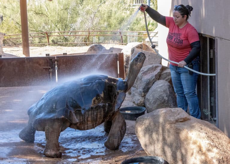 Job Openings - Phoenix Zoo