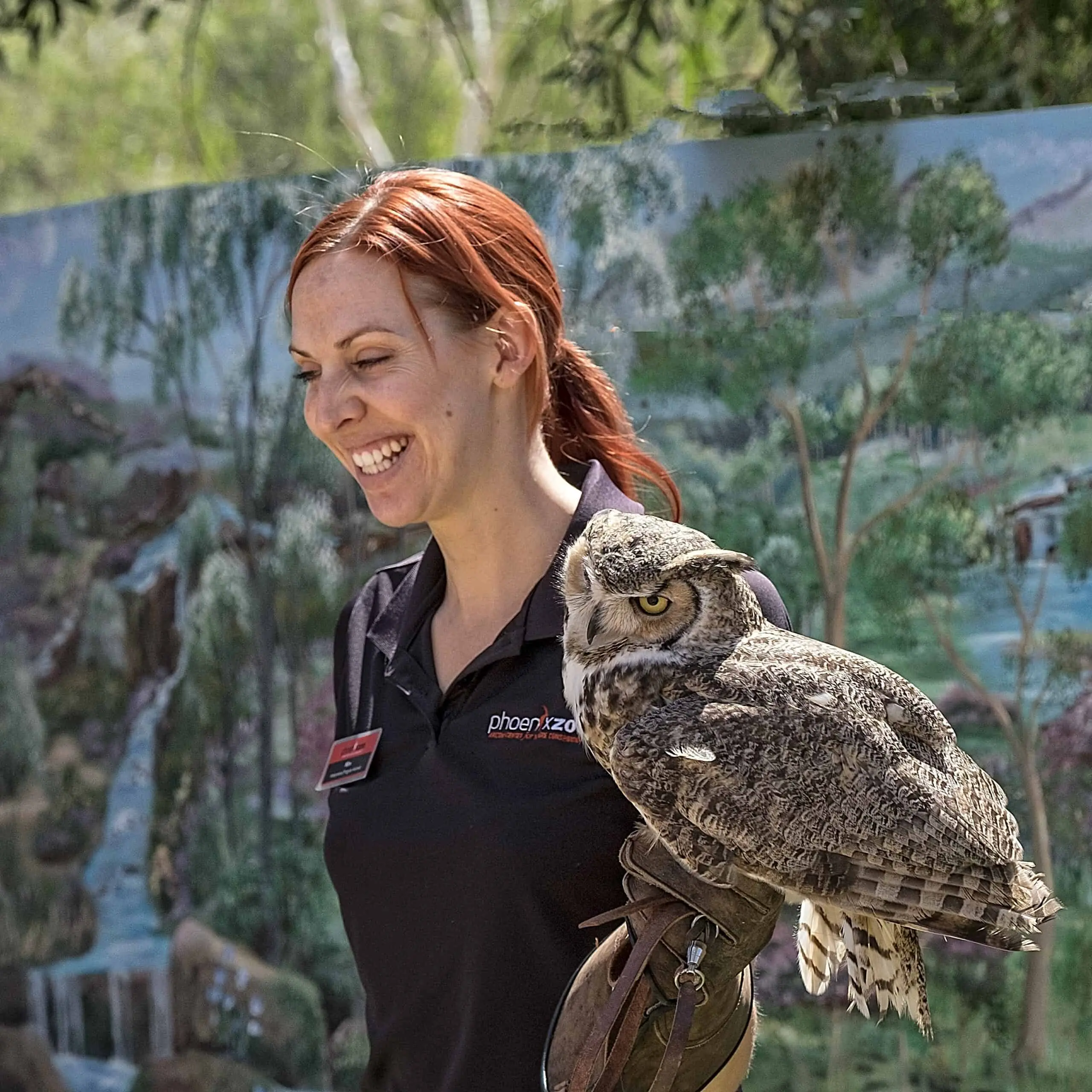 zoo animals presentation