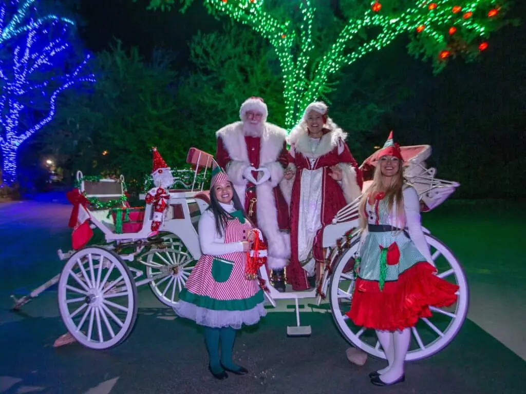 Wildlights, November 6, 2022