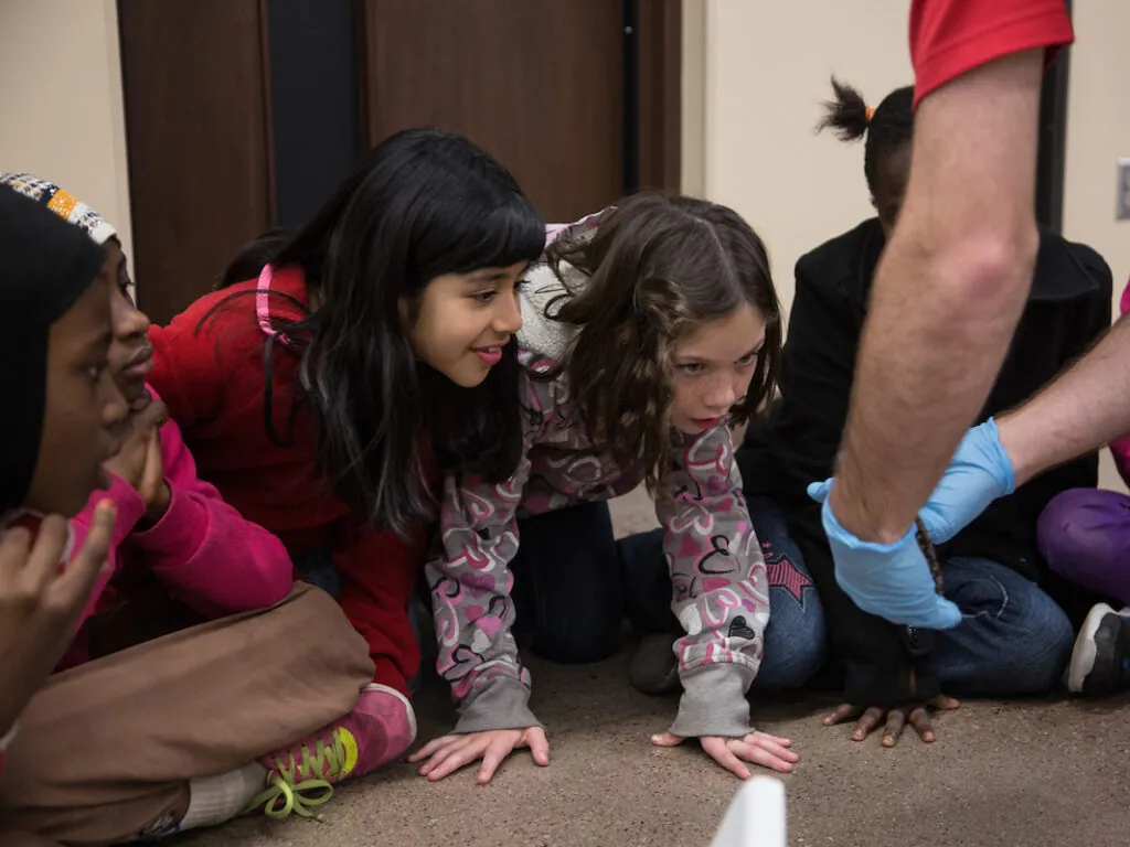 Zoo Camps & Programs for All Ages | Phoenix Zoo
