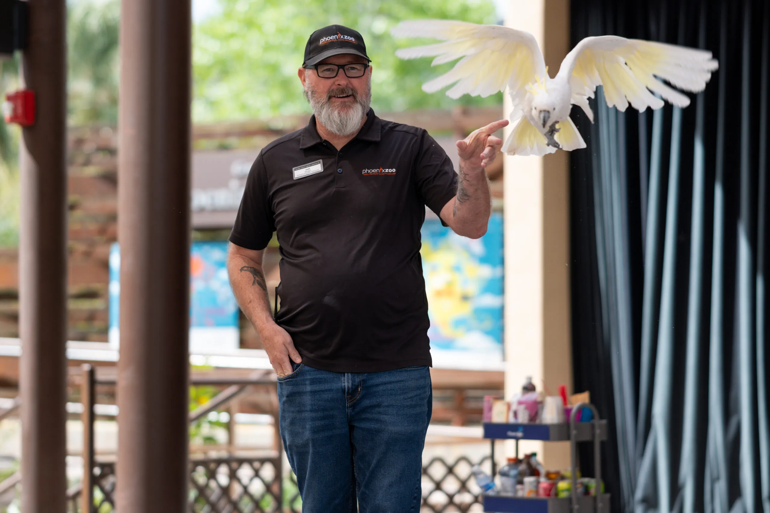 zoo animals presentation