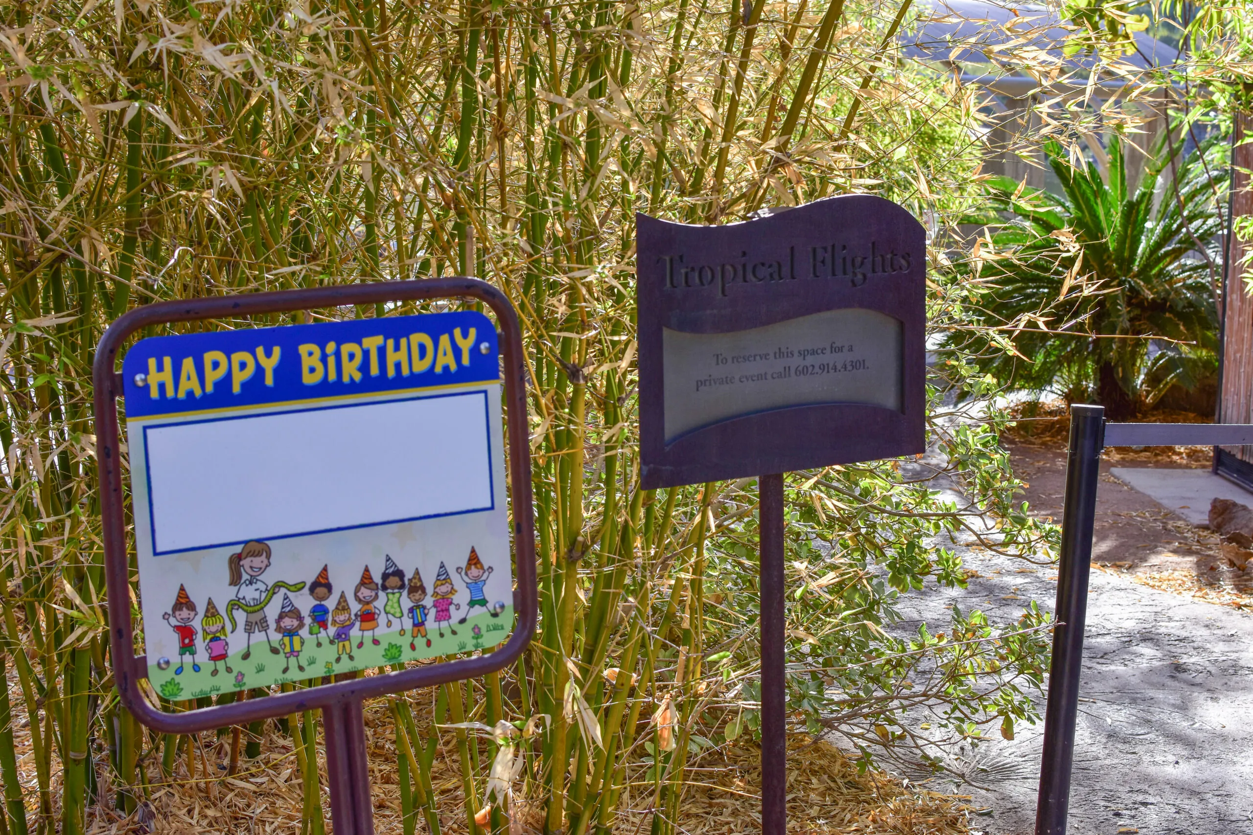 Birthday Venues-09