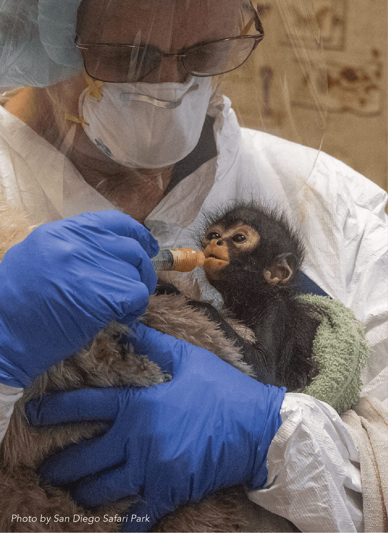 Make-A-Difference_Web-Assets-05