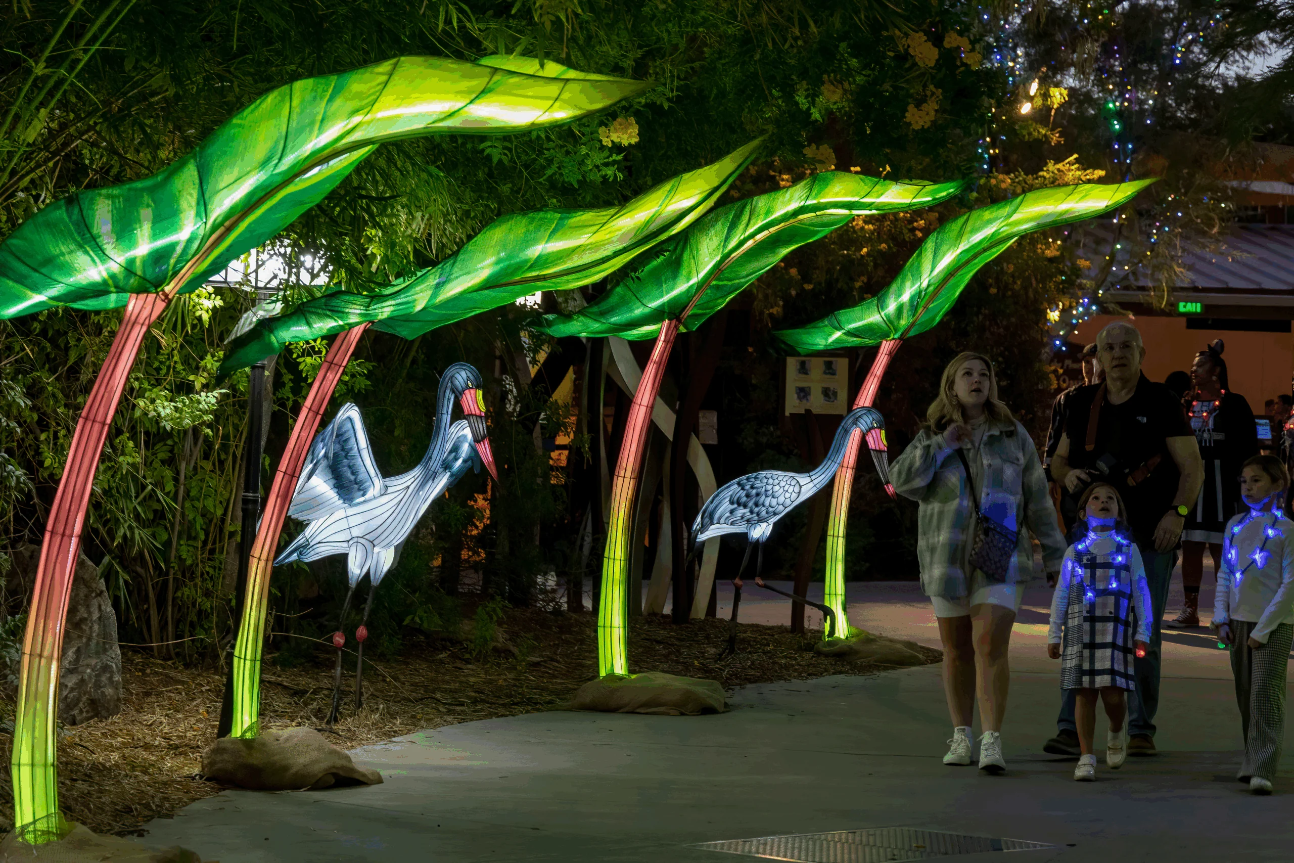 Zoolights 2024_01