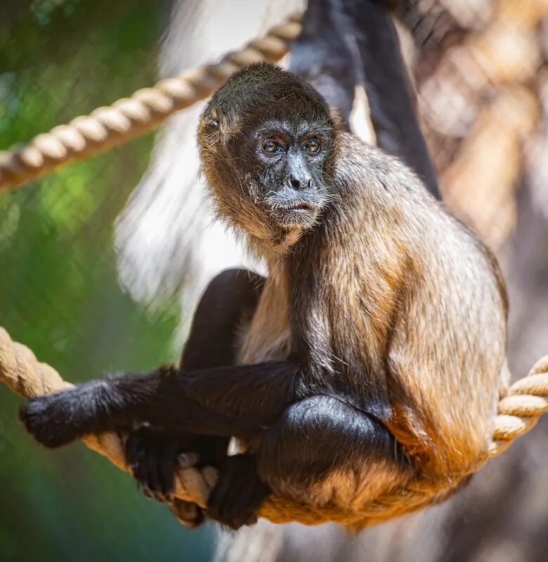 _DSC3245-Enhanced-NR