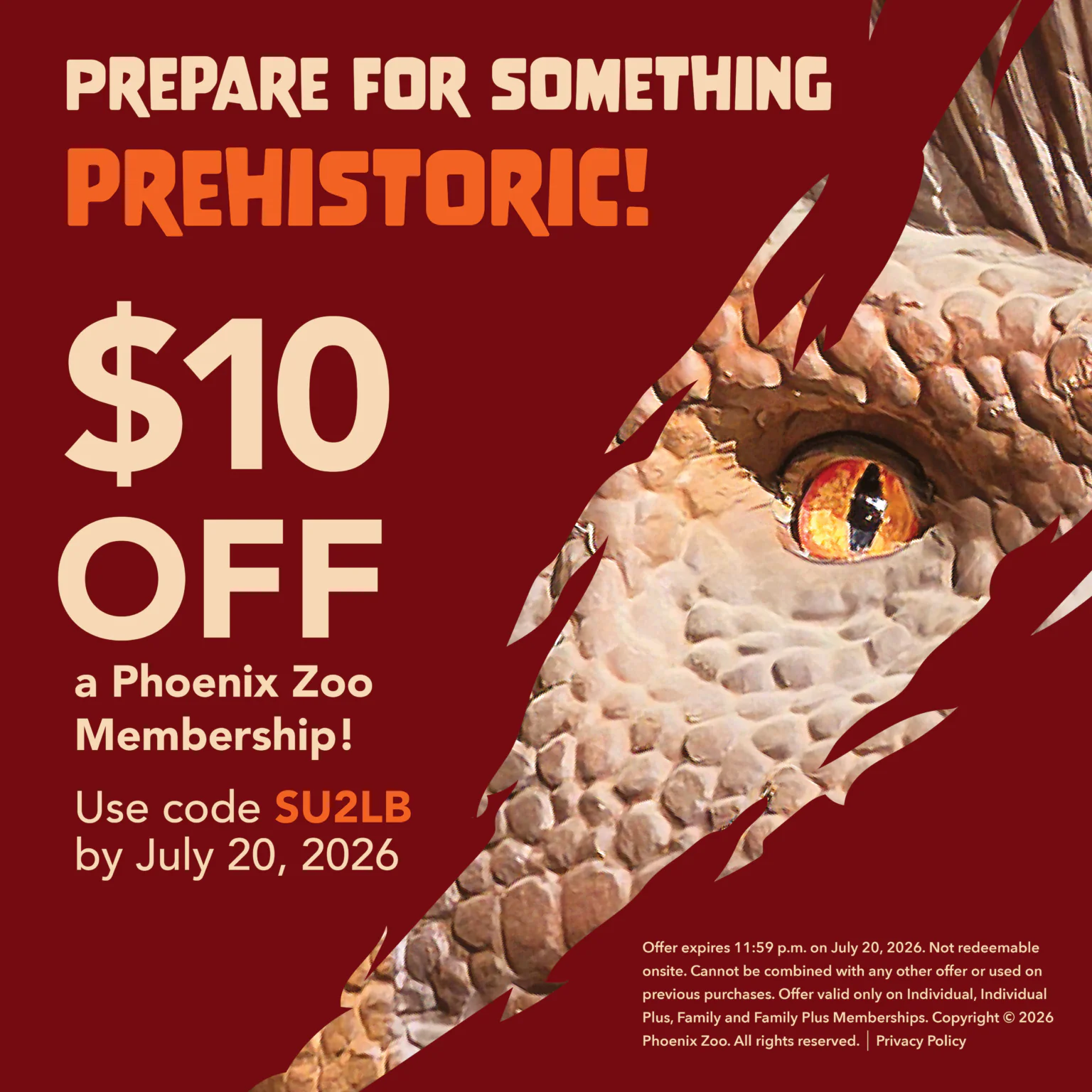 Python Phoenix Zoo About Us | Phoenix Zoo